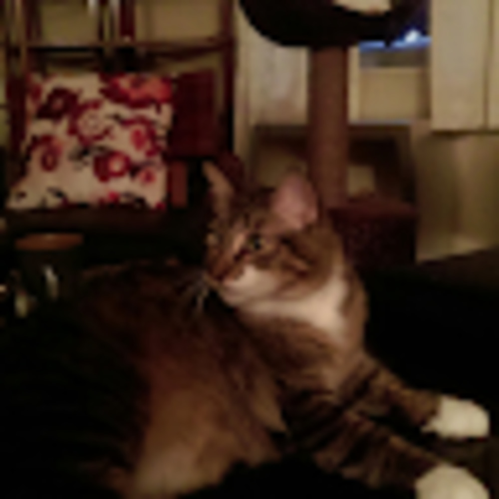 Meet your Posher, Jackie